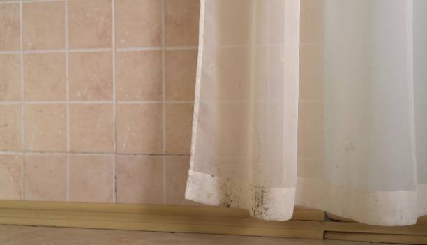 Best Mold Odor Removal Services  in Heceta Beach, OR