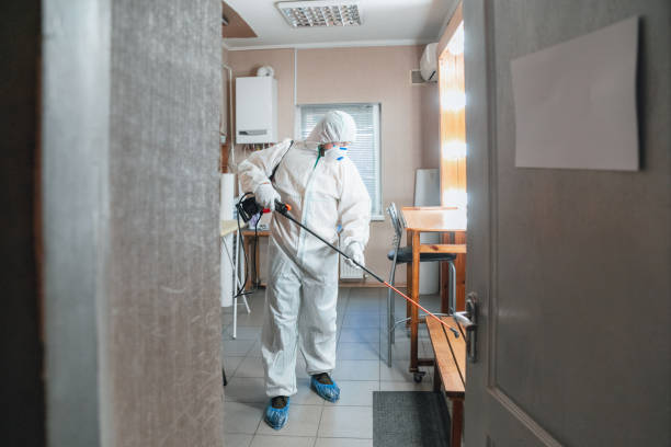Best Mold Damage Restoration  in Heceta Beach, OR