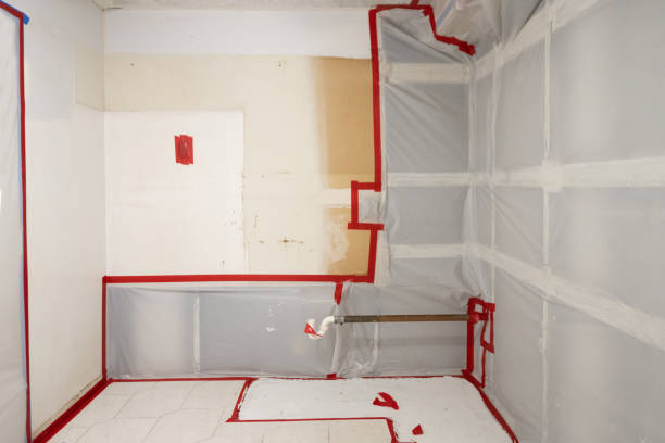 Best Post-Construction Mold Inspection  in Heceta Beach, OR