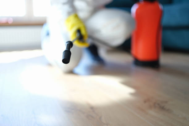 Forensic Mold Investigation in Heceta Beach, OR