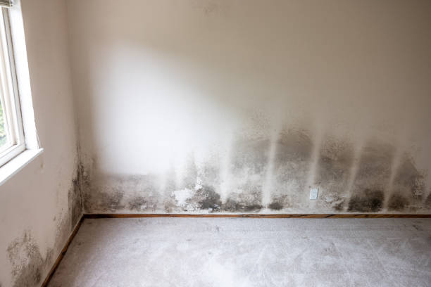 Best Indoor Air Quality Assessment  in Heceta Beach, OR